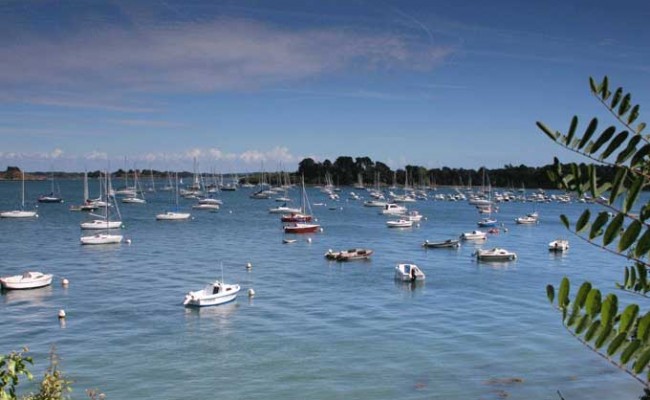 CROISIERE-GOLFE-MORBIHAN-7